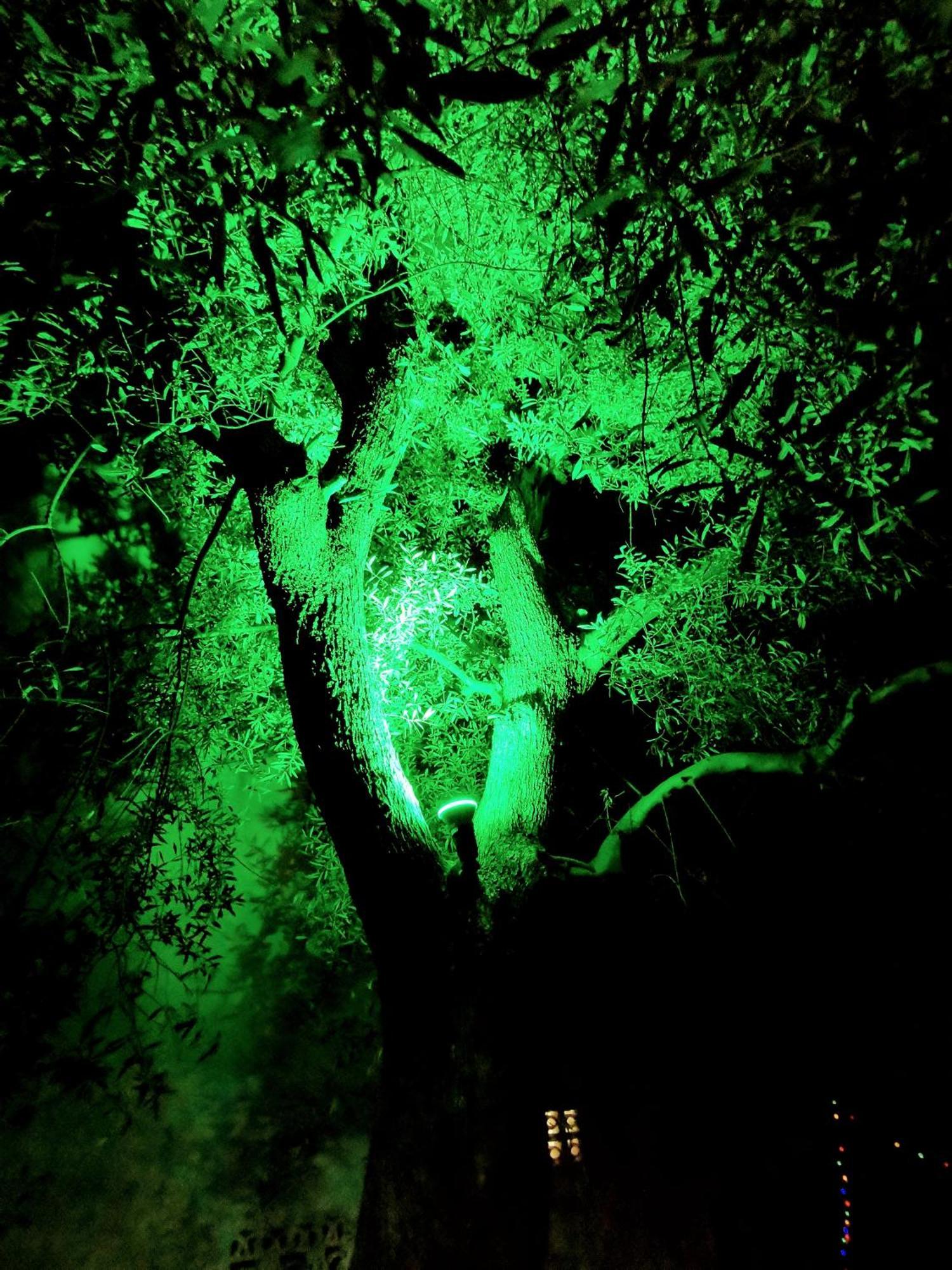 Iris Studios Áyios Nikítas エクステリア 写真